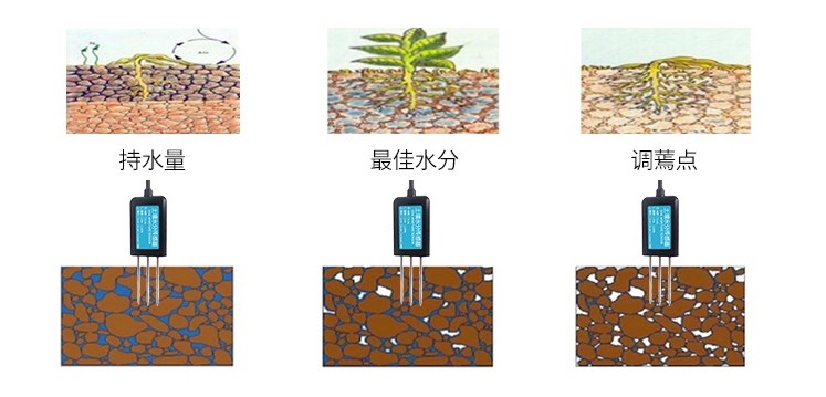 土壤傳感器監(jiān)測土壤水分